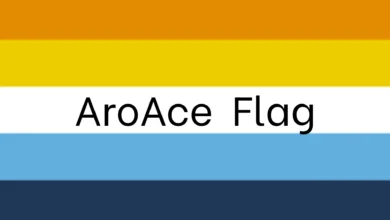 Aroace Flag