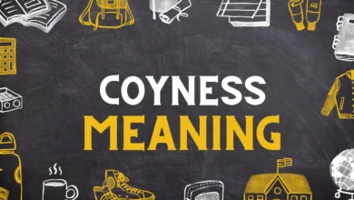 Coyness Meaning