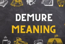DEMURE Meaning
