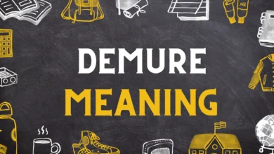 DEMURE Meaning