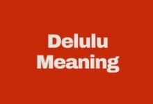 what does Delulu mean?