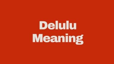 what does Delulu mean?