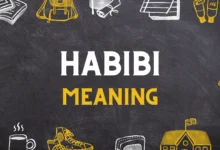 Habibi Meaning