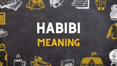 Habibi Meaning