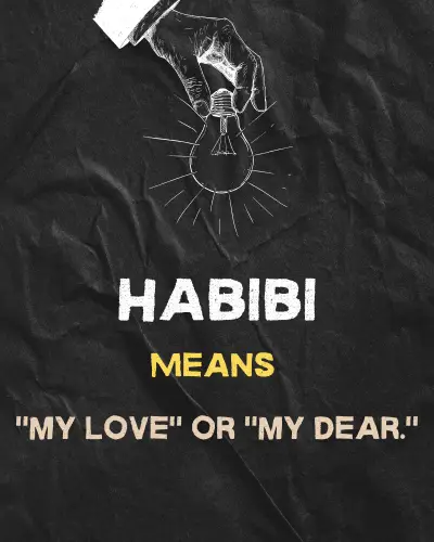 Habibi means"my love" or "my dear."