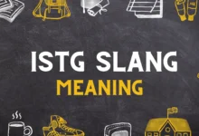 ISTG slang meaning