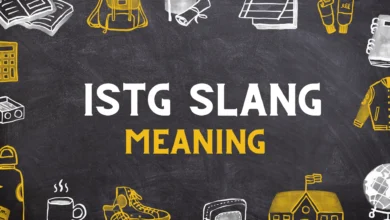 ISTG slang meaning