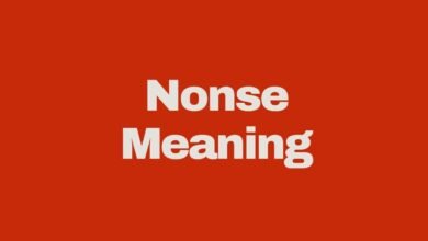 what does Nonse mean?