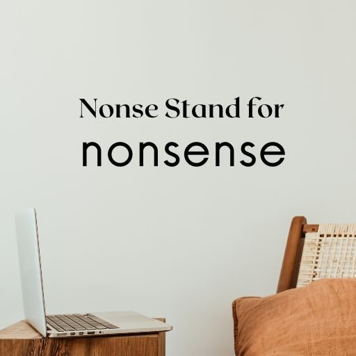 Meaning of Nonse slang