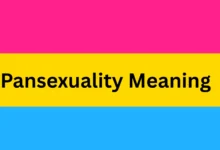 Pansexual Meaning