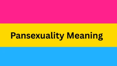 Pansexual Meaning
