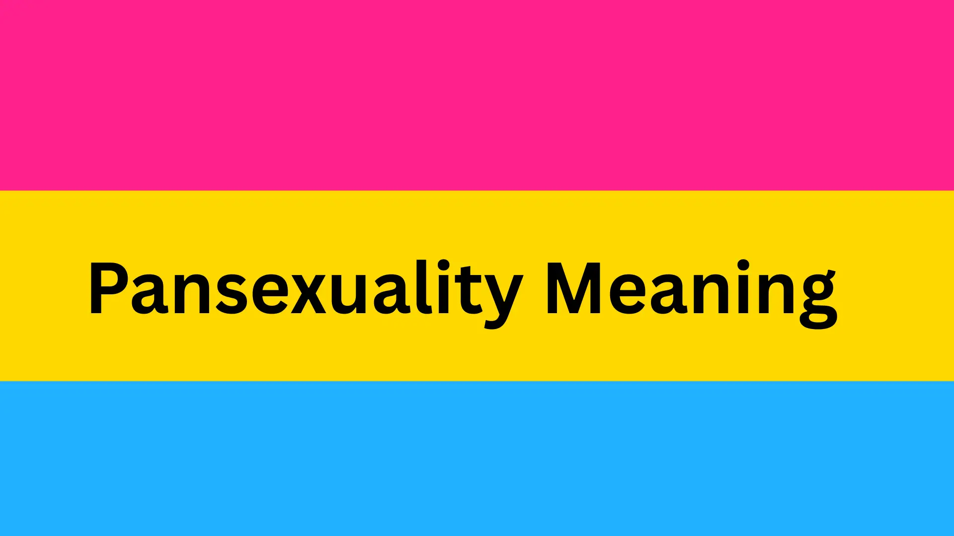 Pansexual Meaning