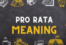 Pro Rata Meaning