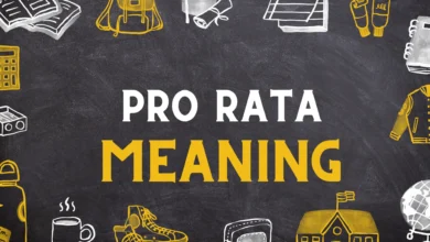 Pro Rata Meaning