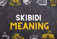 Skibidi Meaning