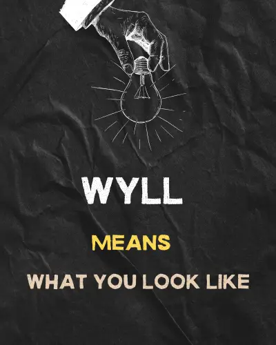 Wyll means" what you look like"
