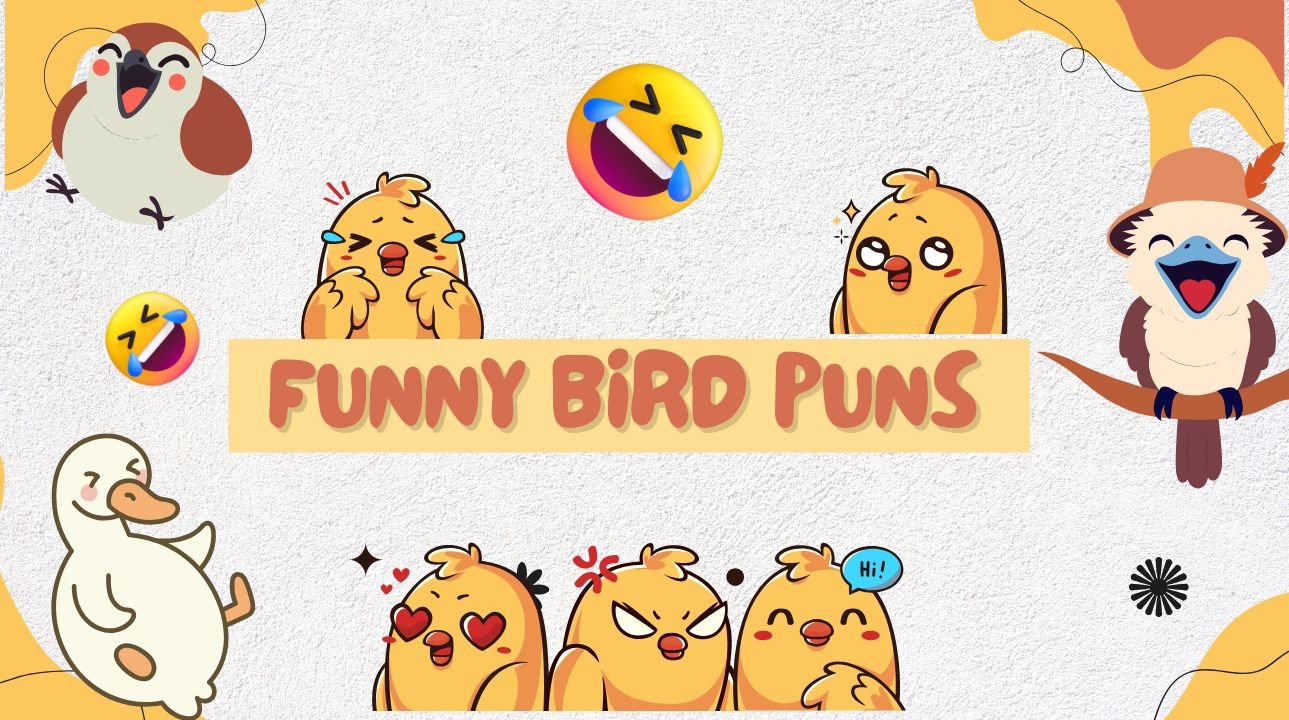 Funny Birds Puns