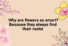 Hilarious Flower Puns