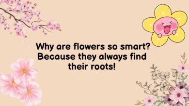 Hilarious Flower Puns
