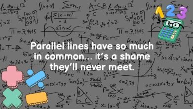Math Puns