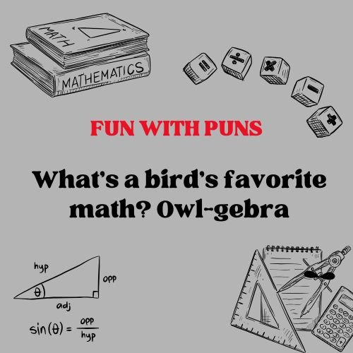 Fun with Math PUN