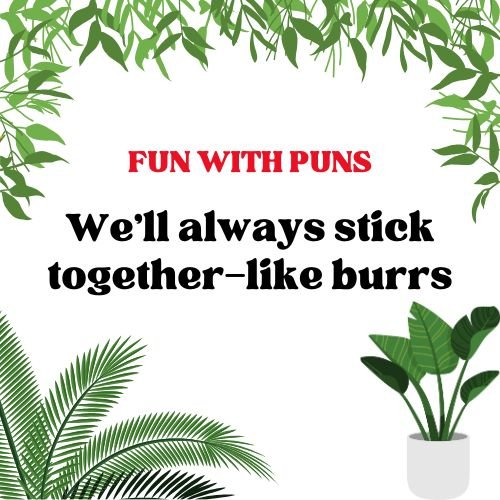 We'll always stick togather like-Burrs