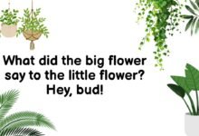 What did the big flower say to the little flower? Hey, bud!