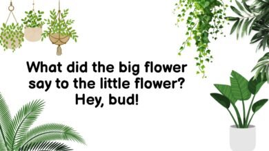 What did the big flower say to the little flower? Hey, bud!