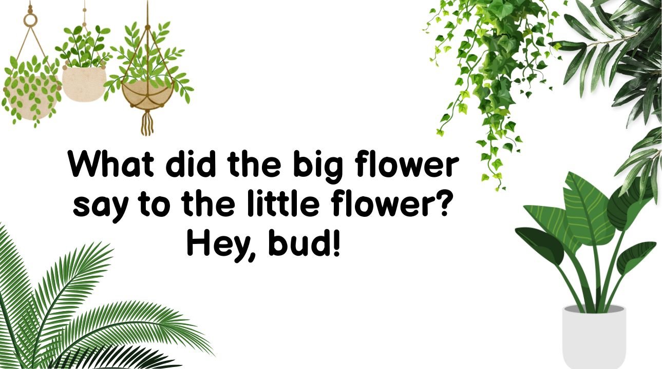 What did the big flower say to the little flower? Hey, bud!