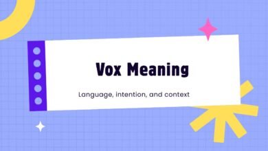 Vox Meaning