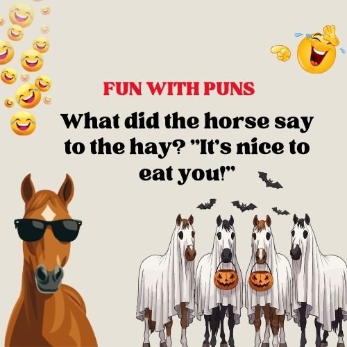 Fun With Horse Puns