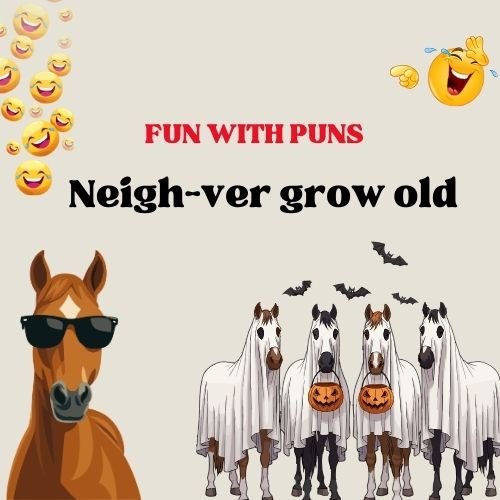 Fun With Horse Puns