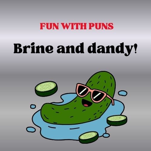 Fun With pickel Puns