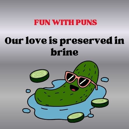 Fun With pickel Puns