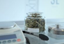 Top Four Signs of a Reliable Cannabis Dispensary You Should Know