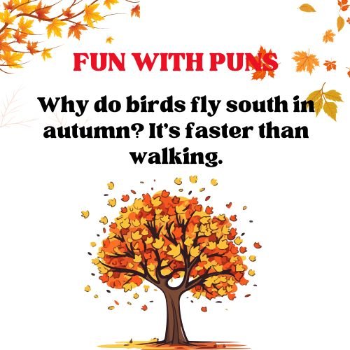 Why do birds fly south in autumn? It’s faster than walking.