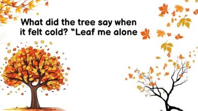 What did the tree say when it felt cold? “Leaf me alone