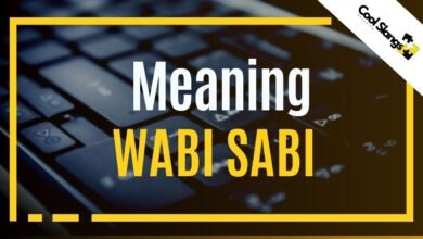 what does Wabi Sabi mean